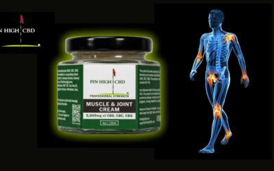 Is CBD Effective for Knee Pain?