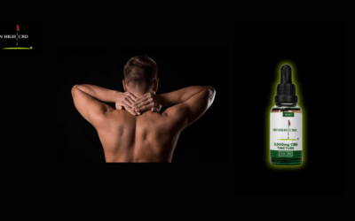 CBD Tinctures vs Traditional Pain Medications: Pros and Cons